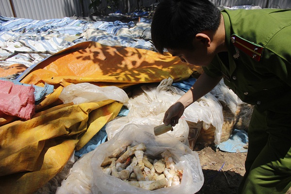 Đà Lạt: Thu giữ hơn 10 tấn măng ngâm bị mốc và bốc mùi