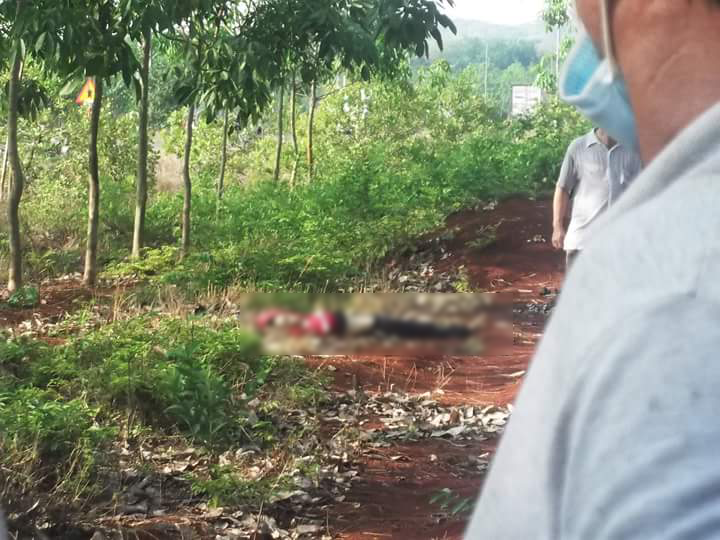 Lâm Đồng: Bắt giữ nghi can giết bạn, giấu xác trong vườn cao su