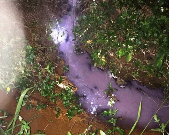 Bảo Lộc: Bị phạt gần 300 triệu đồng vẫn xã thải ra môi trường