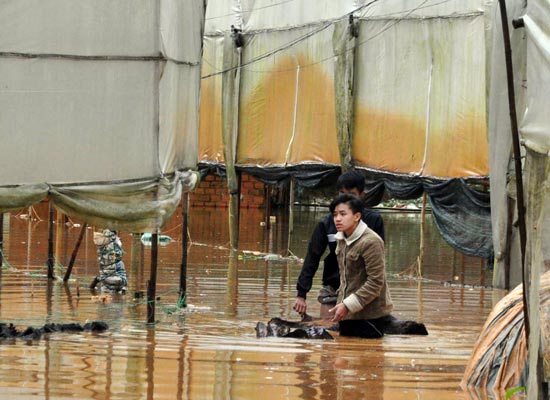 Đà Lạt: Mưa lớn gây ngập gần 1m