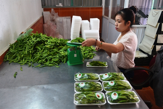 Nông sản Đà Lạt buộc phải gắn nhãn mác