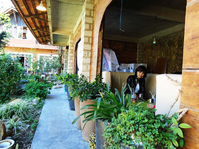 Quán cà phê của cô chủ người Hàn Quốc yêu Đà Lạt