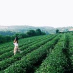 6-diem-den-tuyet-dep-it-ai-biet-o-bao-loc-86e026e8636074605783837695