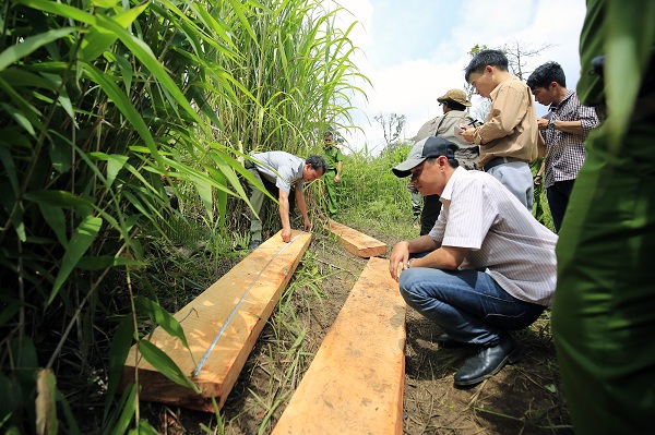 Đà Lạt: Bắt đối tượng “lâm tặc” chống người thi hành công vụ