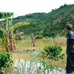 thuydienchandongdanthiethainang