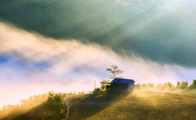 ‘Nhiếp ảnh gia’ nổi tiếng bị đồng nghiệp ‘bóc phốt’ vì đạo ảnh Đà Lạt