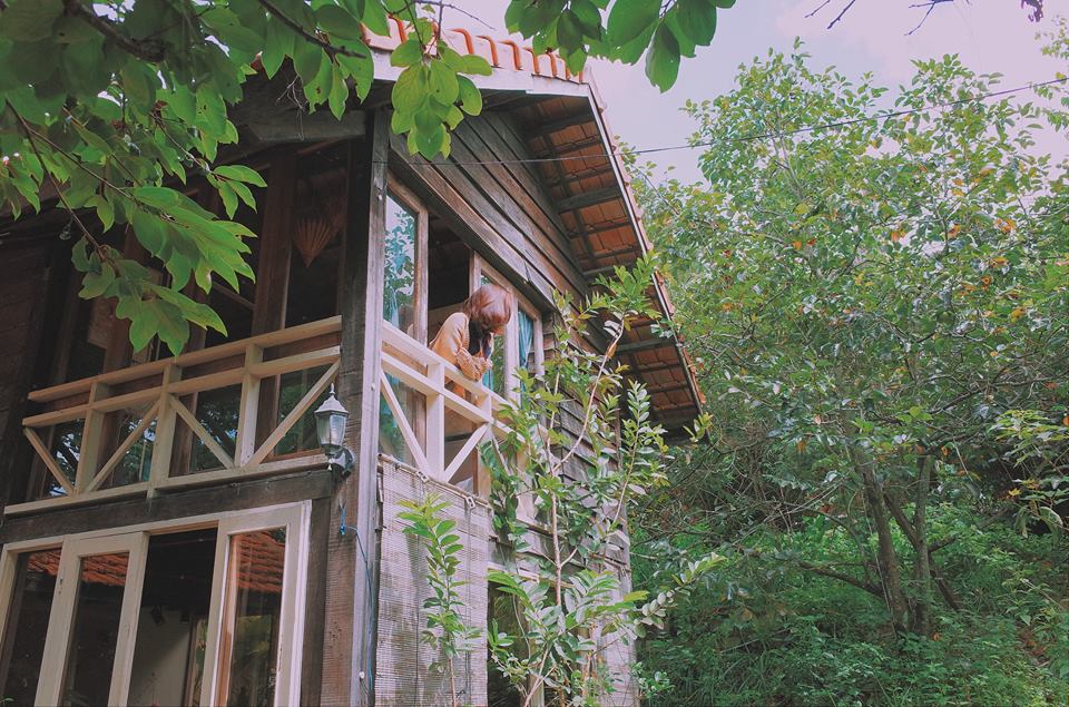 Đẹp ngẩn ngơ” homestay cổ tích giữa rừng thông Đà Lạt