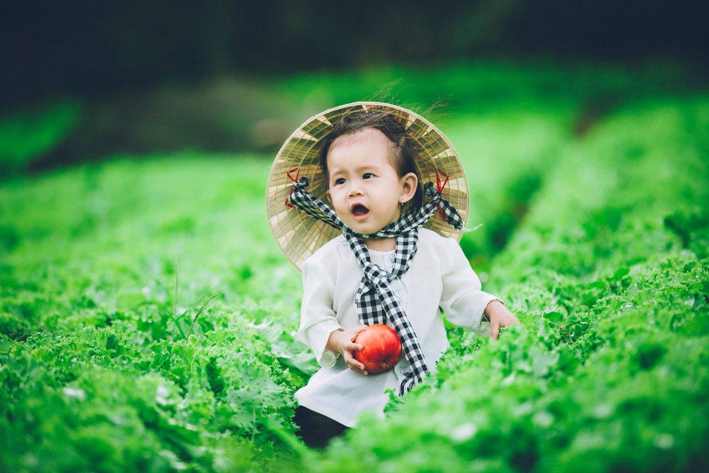 Bảo Lộc: “cô nông dân nhí” siêu đáng yêu khiến dân mạng “phát hờn”.