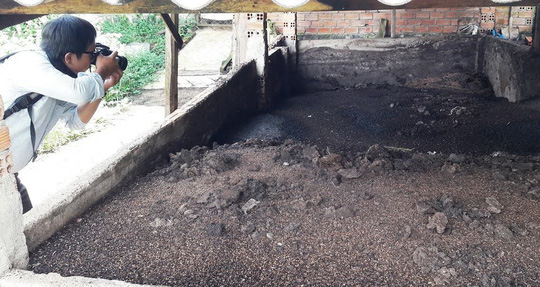 Bảo Lộc: Trại heo “đầu độc” khu dân cư