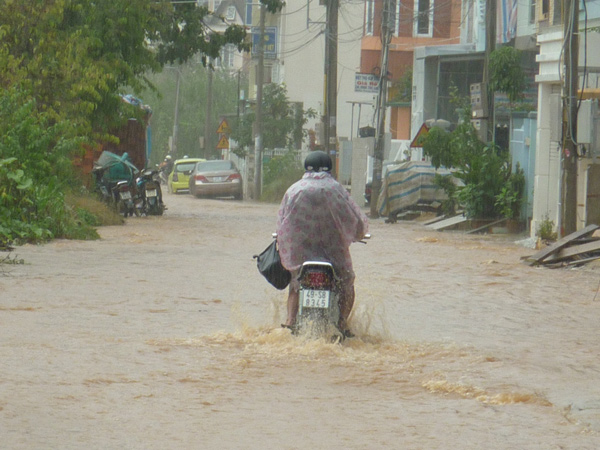 Đà Lạt: Mưa lớn, đường thành sông