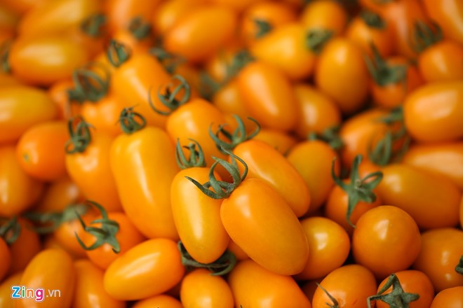 Đức Trọng: Trồng cà trái cây bằng sữa và trứng thu trăm triệu mỗi tháng