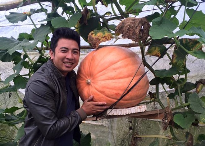 Đà Lạt: Bí ngô khổng lồ, 5 triệu/quả khách tranh nhau mua