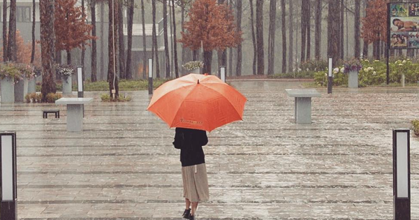 Ngỡ lạc lối “GIỮA TRỜI THU SEOUL” giữa núi rừng Đà Lạt