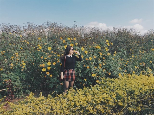 “Chết ngất” với những cung đường hoa dã quỳ gây sốt tháng 10 ở Đà Lạt