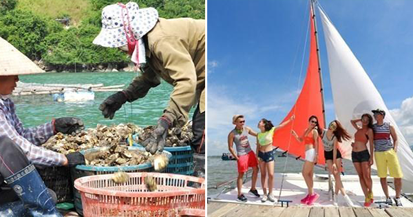 Khám phá “Vương Quốc Hàu” cách Sài Gòn chỉ 100km