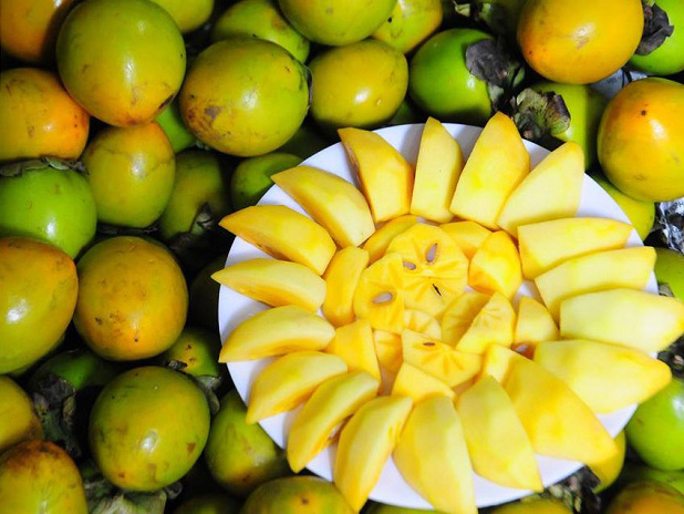 Nguy cơ xóa sổ đặc sản trái hồng Đà Lạt vì thông tin thất thiệt