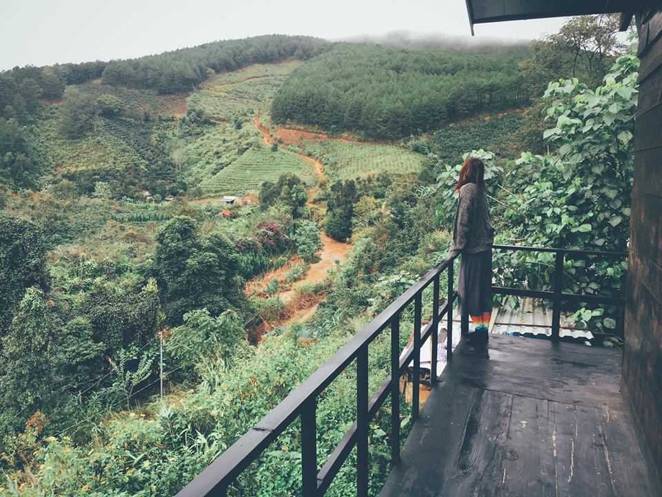 Phát hiện Homestay cực kì lãng mạn ở Đà Lạt cho khách ở FREE không lấy xu nào