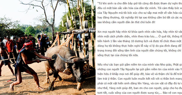 Tâm thư của người con Tây Nguyên về việc bỏ nghi thức đâm trâu trong lễ hội truyền thống