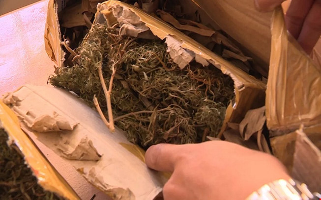 Lâm Đồng: Tự trồng cần sa rồi bán qua đường hàng không