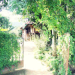 co-gai-nguoi-tay-bo-pho-thi-phon-hoa-ve-que-lam-homestay-du-lich-4