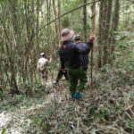 di-linh-1478060334076