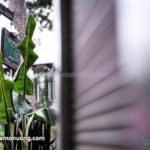 undefined-cua-hang-an-uong-giai-khat-la-chuoi-5-459aab78636071256395374529