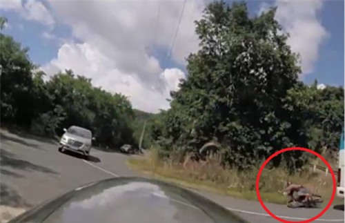 Đà Lạt: Xe khách ôm cua ẩu đụng ngã xe máy trên đèo