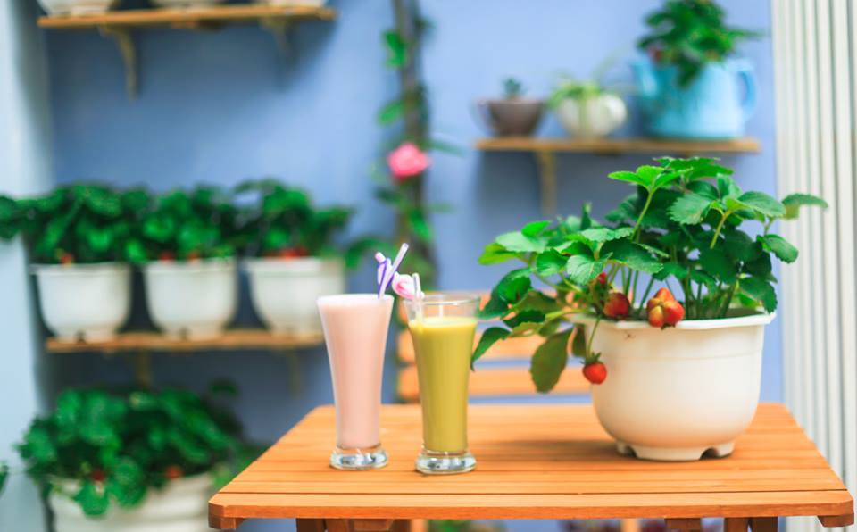 Đà Lạt: Khám phá quán cafe tràn ngập Dâu là Dâu