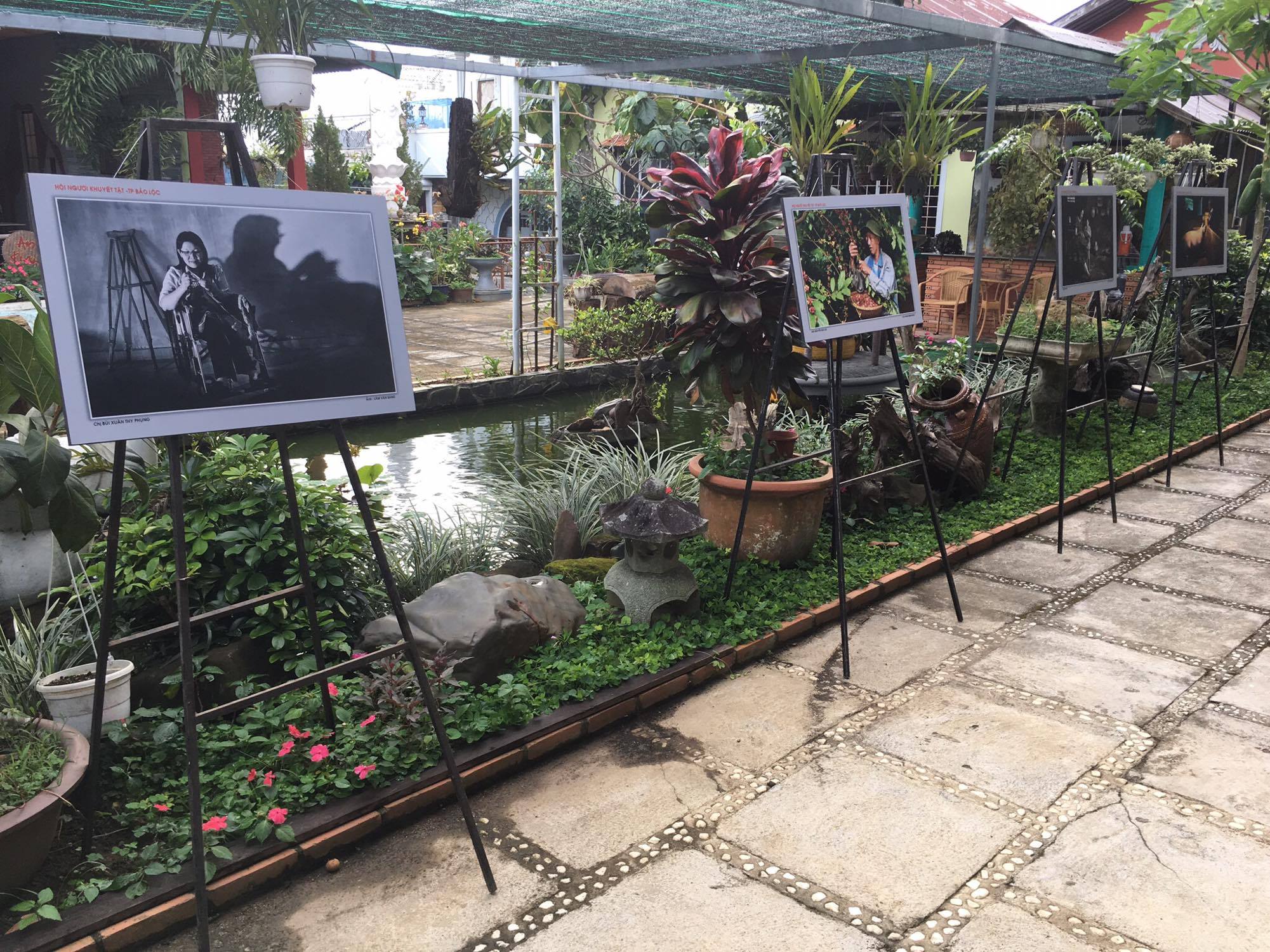 Bảo Lộc: Ngày hội “Chụp ảnh chân dung cho mọi người”