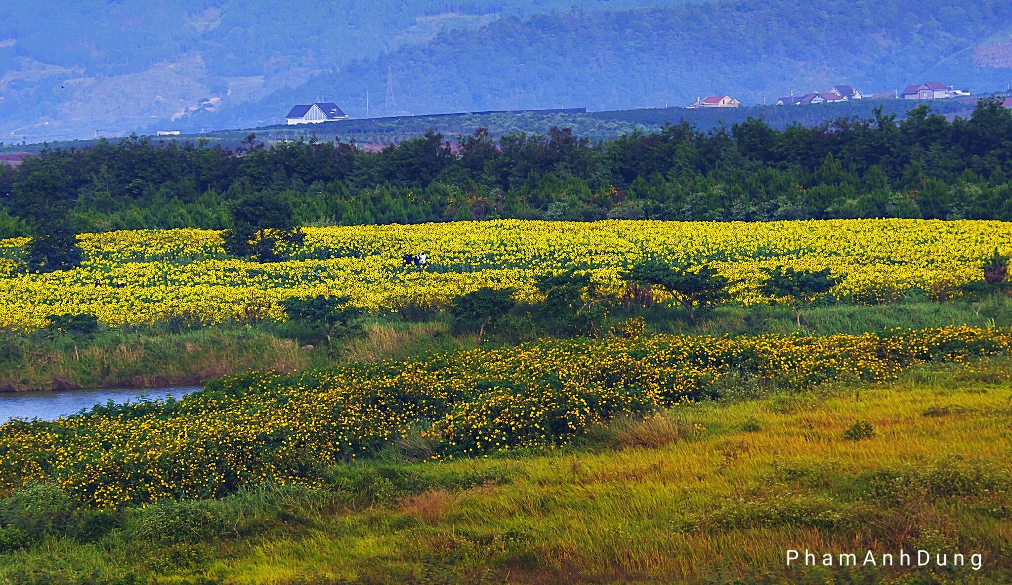 Đà Lạt vừa lọt vào Top 10 điểm đến châu Á mới nổi năm 2017