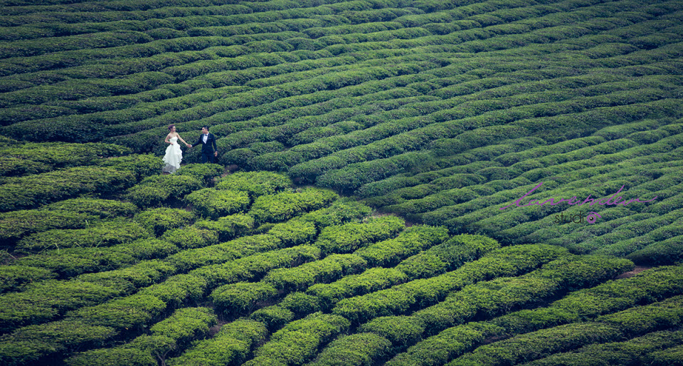 Lavender Studio: khai trương chi nhánh mới tại Đà Lạt, khuyến mãi tưng bừng