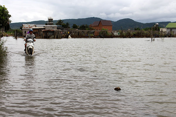 Đức Trọng: Cứ mưa, khu dân cư lại… ngập nước!
