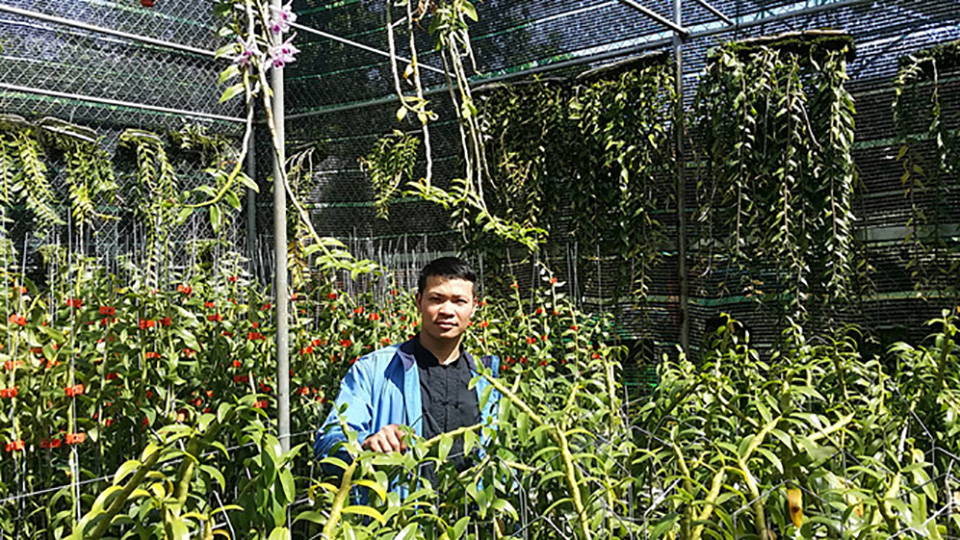 Đức Trọng: Bỏ việc NGÂN HÀNG đi trồng LAN RỪNG, thu 2,5 tỷ đồng mỗi năm