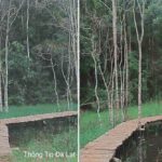 phat-hien-diem-song-ao-kiem-ngan-like-it-ai-biet-o-da-lat-8ba653ab636168060101761871