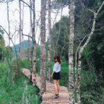 phat-hien-khu-rung-noi-kiem-ngan-like-o-da-lat-101cbc9636168039990191871