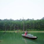 phat-hien-khu-rung-noi-kiem-ngan-like-o-da-lat-9407eaab636168040627617871