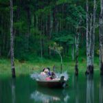 phat-hien-khu-rung-noi-kiem-ngan-like-o-da-lat-a3d91f43636168042466399871