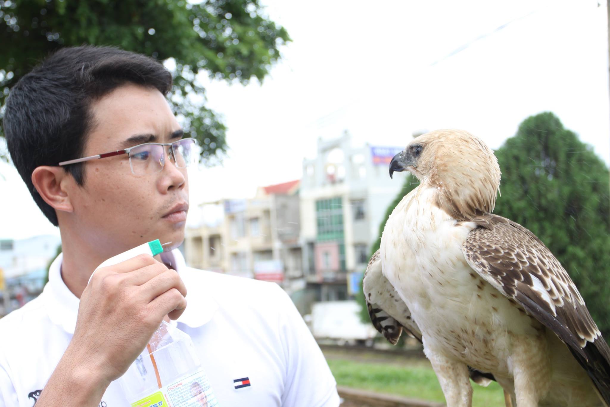 Di Linh: Thú chơi chim săn mồi