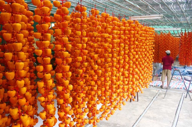 Đà Lạt: Hồng sấy kiểu Nhật nửa triệu đồng một kg