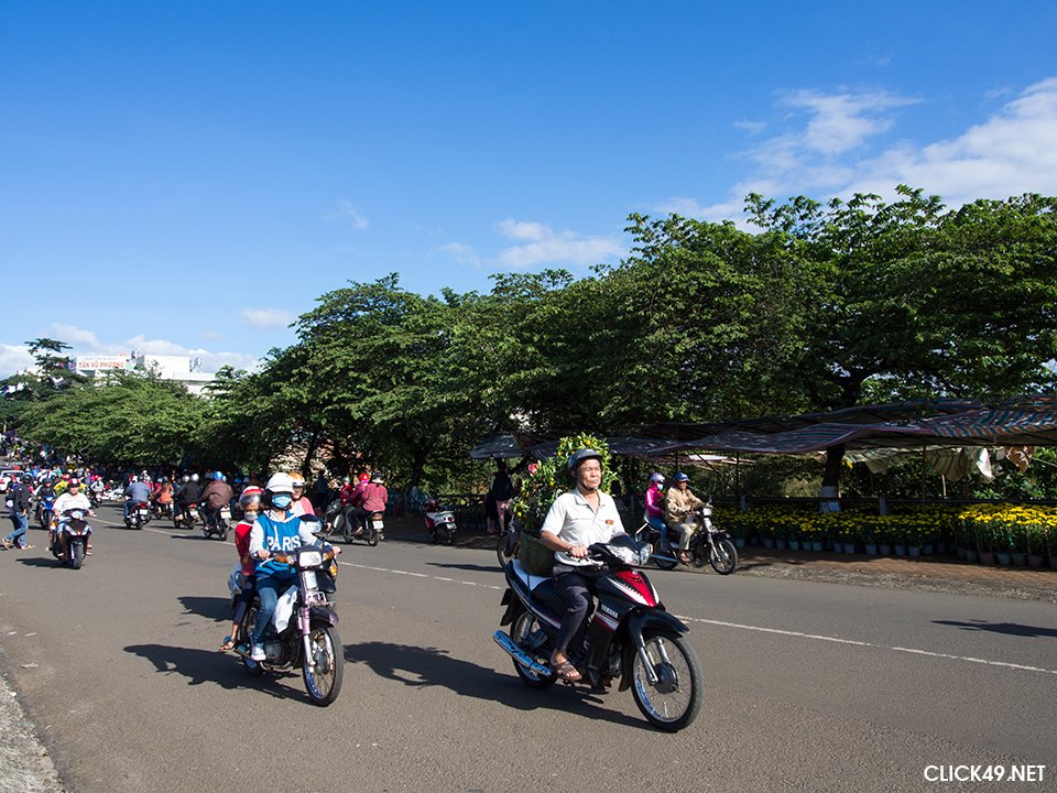 Bảo Lộc: Rộn ràng chợ hoa xuân đón năm mới