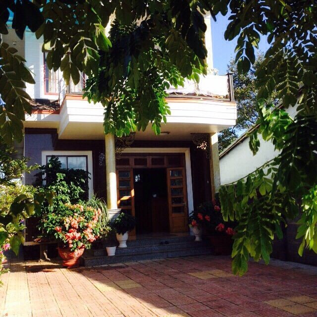 Bảo Lộc: Truy tìm khách sạn ngập cây xanh giữa lòng thành phố