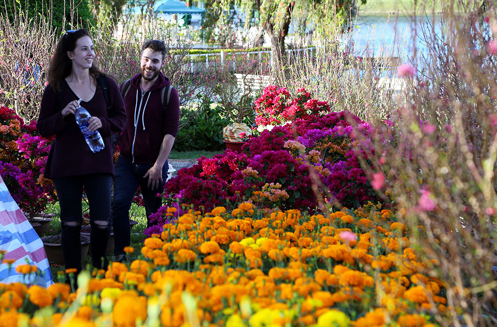 Đà Lạt nhộn nhịp hoa xuân ngày cận Tết