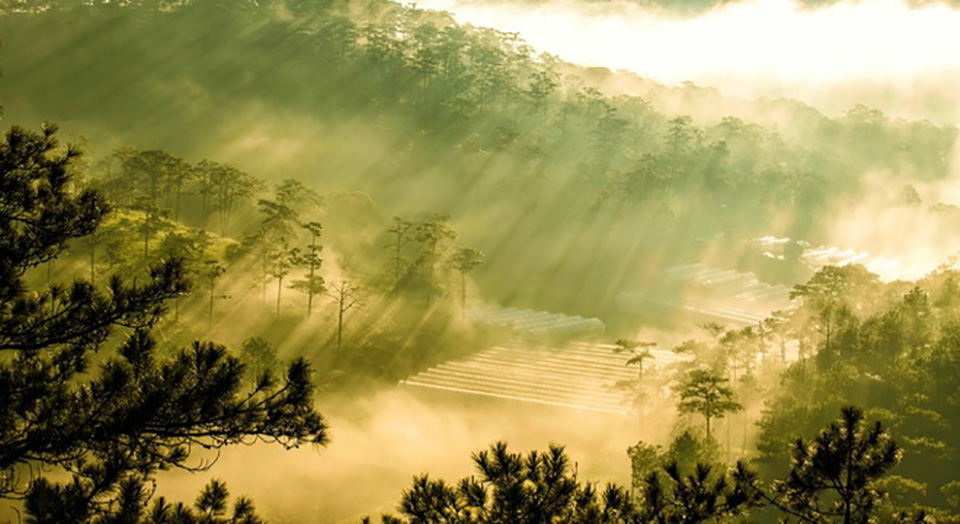 Đêm ĐÀ LẠT hát TÌNH CA TRONG SƯƠNG