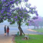 Trương Ngọc Thuỵ
