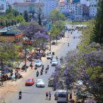Trương Ngọc Thụy 2