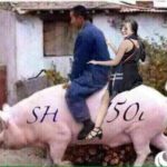 gai-xinh-them-khat-sh-bien-ha-noi-va-cai-ket-buon-hinh-6