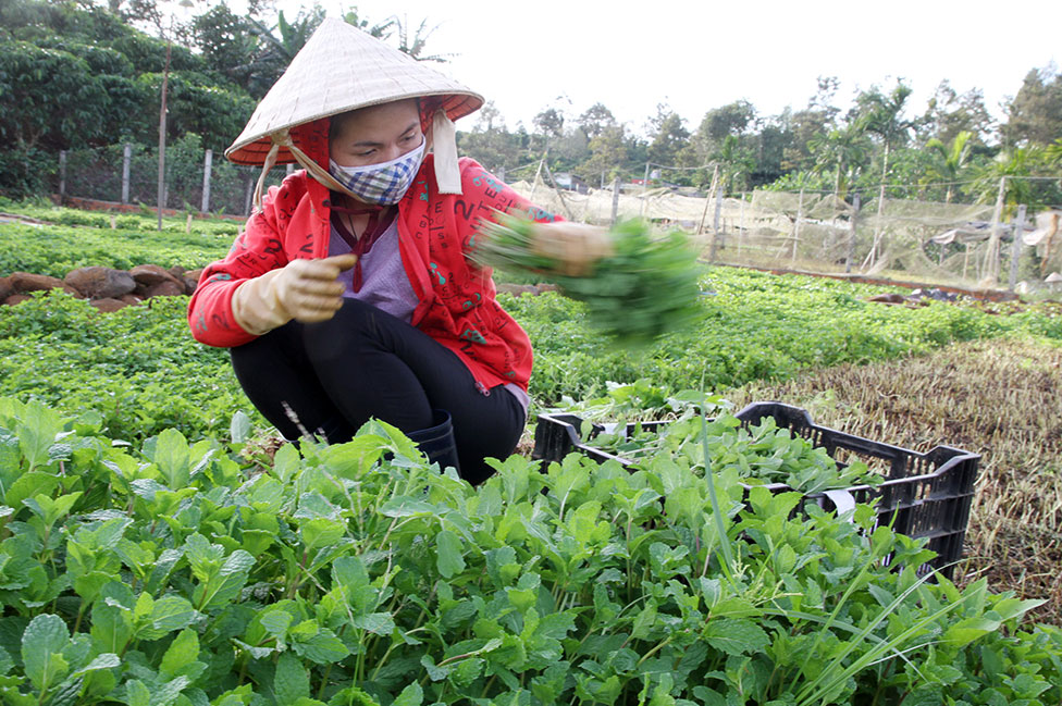 Bảo Lộc: Xóm Ruộng “lên đời”