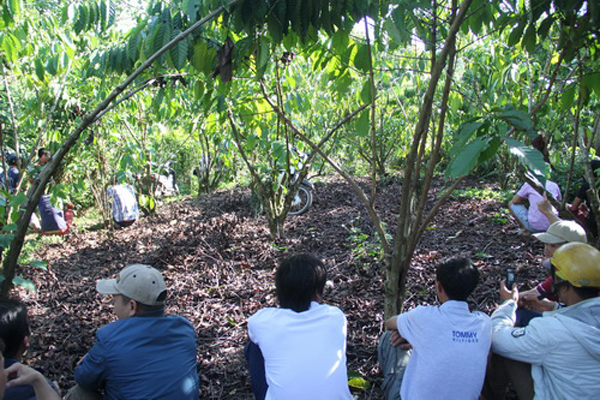 Bảo Lộc: Thi thể nam thanh niên đầy máu trong rẫy cà phê