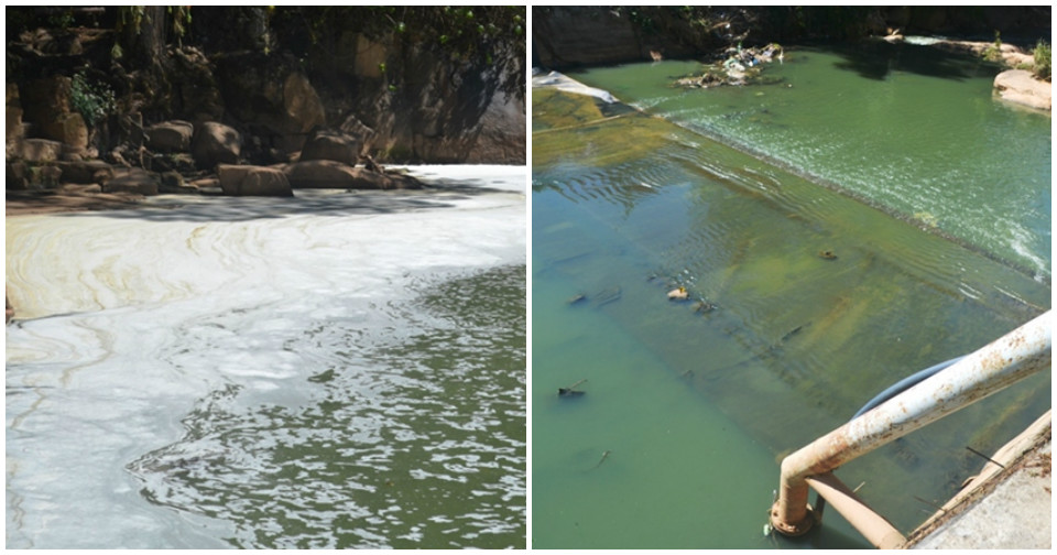 Đà Lạt: Thác Cam Ly đang chết vì “trúng độc”