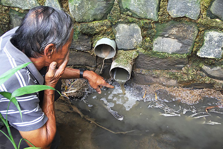 Bảo Lộc: Trại heo bao vây khu dân cư gây ô nhiễm